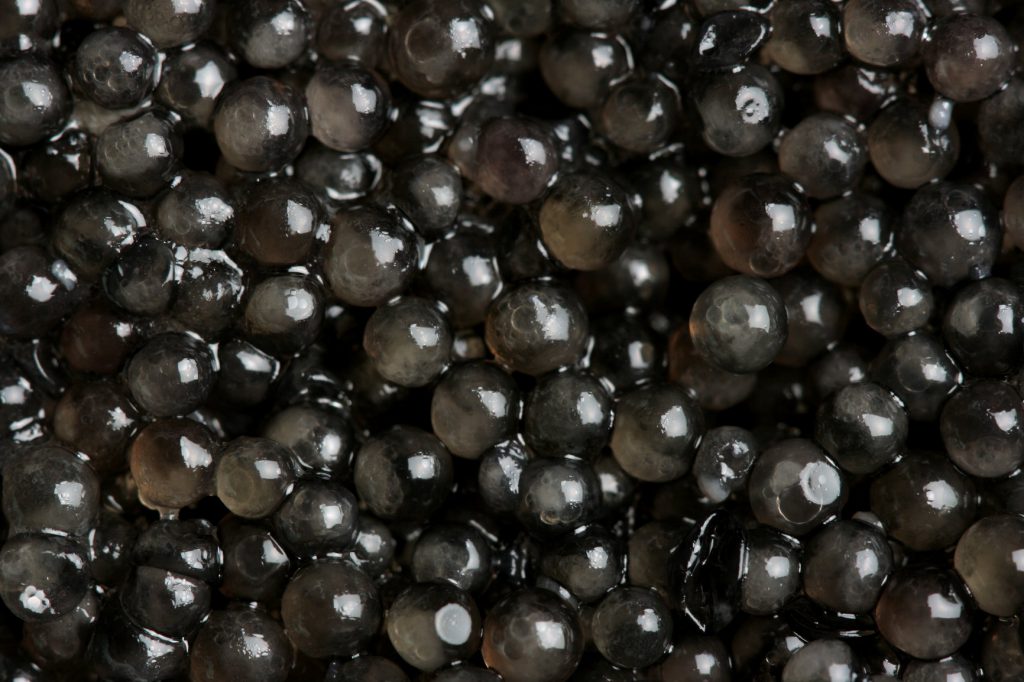 propiedades-del-caviar-4