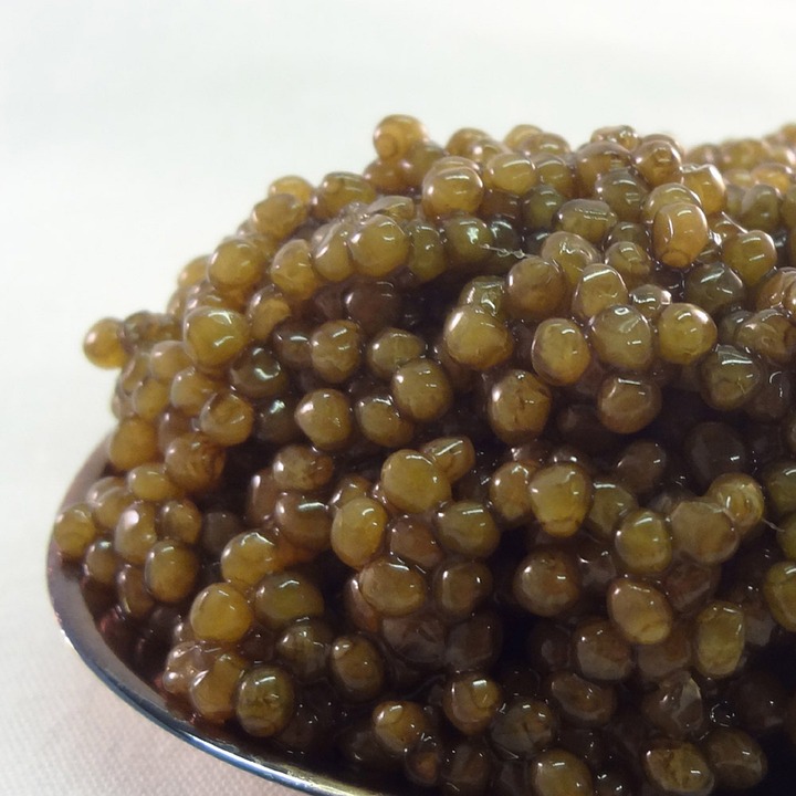 El color de las huevas del caviar de Baeri pueden ir del gris al marrón claro